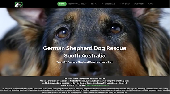 German Shepherd Dog Rescue South Australia