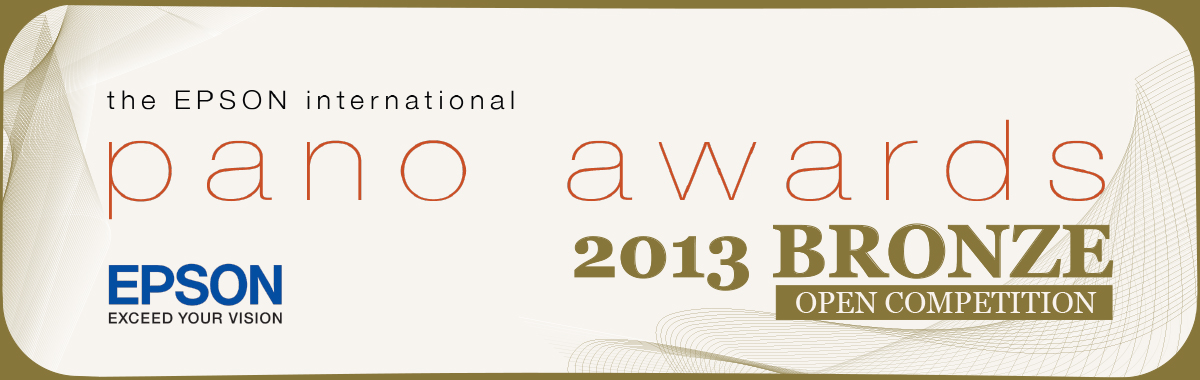 Epson International Pano Awards 2013