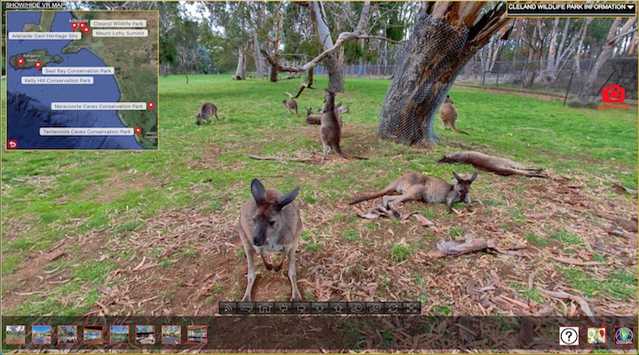 Cleland Wildlife Park