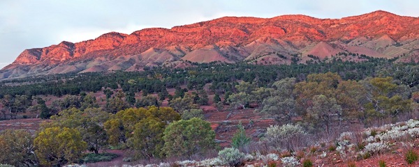 Heysen Range