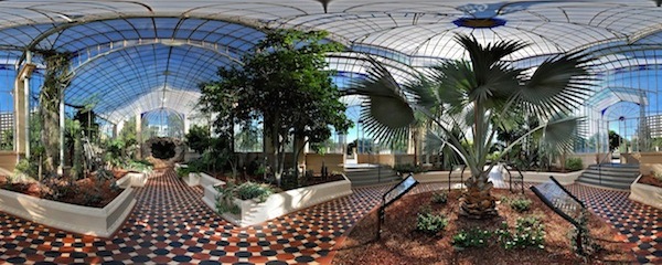 Victorian Palm House