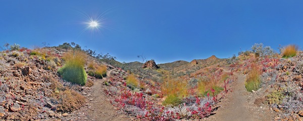 Pinnacles Arkaroola